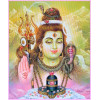 Shiva Abhishekam (Monday)